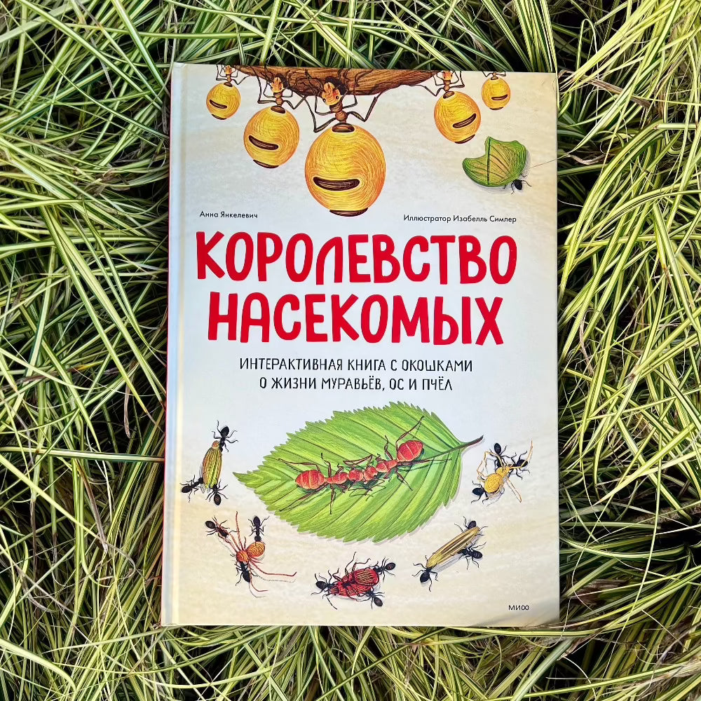 Королевство насекомых